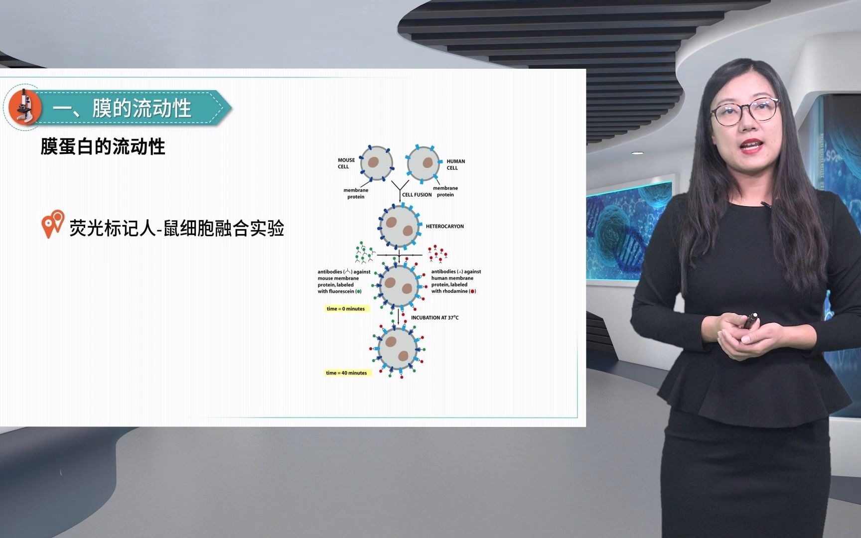 4.3细胞质膜的基本特征细胞生物学黄萱哔哩哔哩bilibili