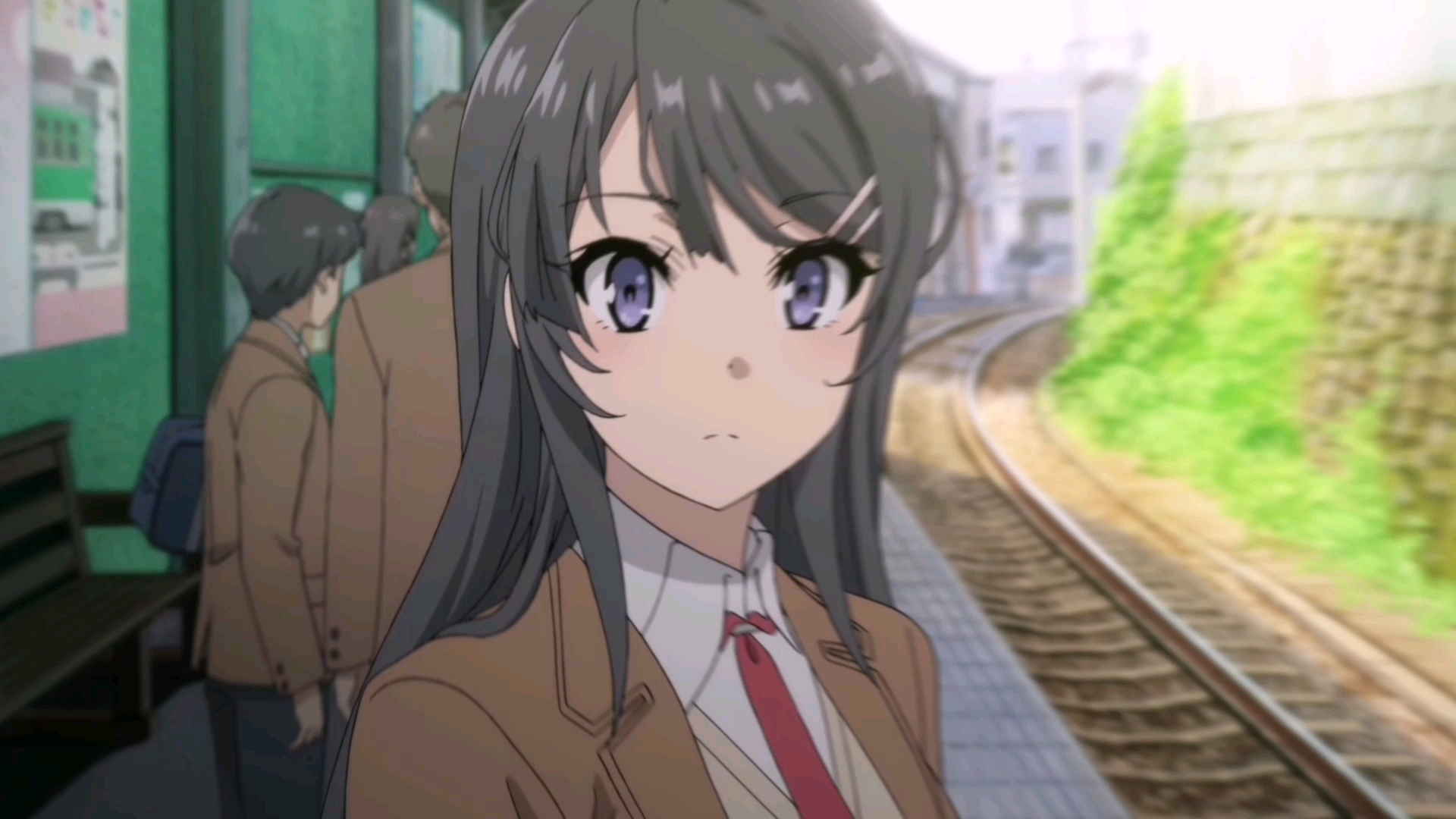 麻衣学姐哪里最美