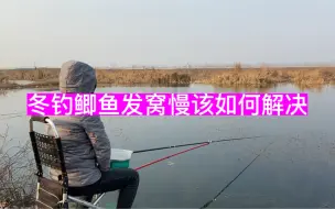 Descargar video: 冬钓鲫鱼发窝慢，试试这三招！