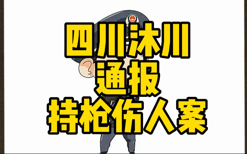 四川沐川通报持枪伤人案哔哩哔哩bilibili