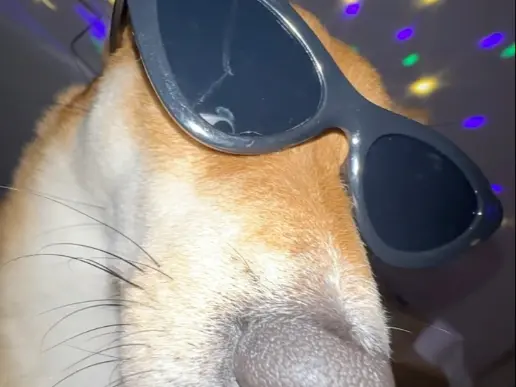 依旧运单干