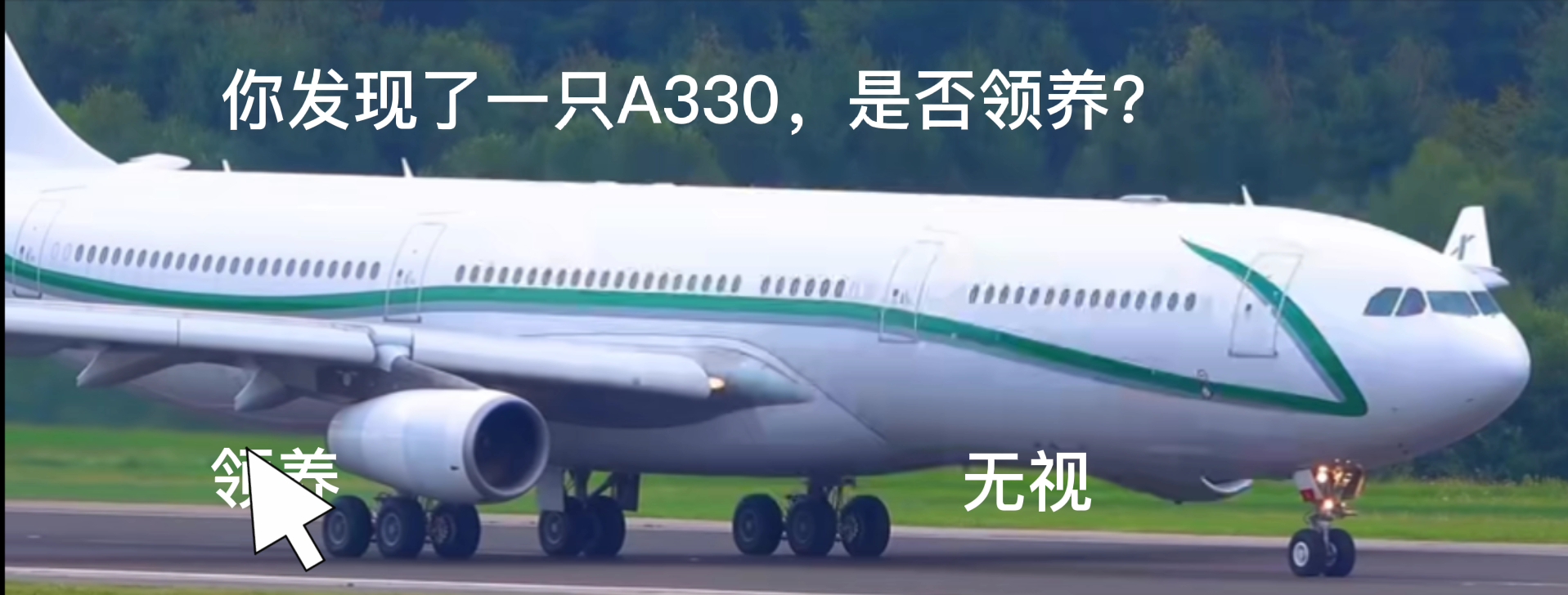 [图]［飞友］A330惊魂1