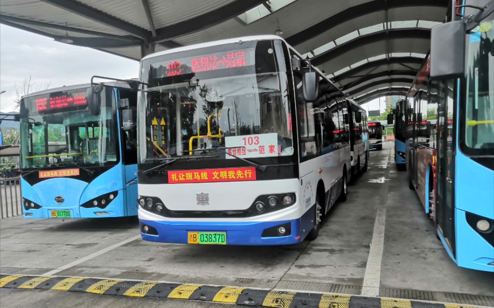 【宁海公交pov11】103路公交车新车pov