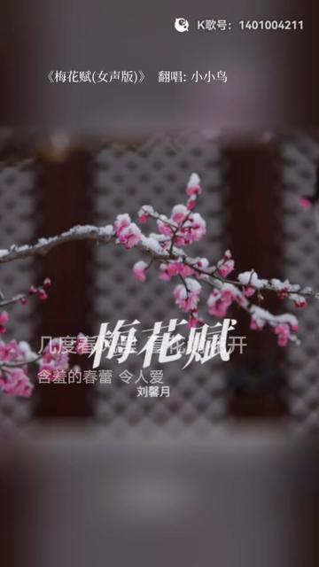 把我超爱的这首歌,唱给你听 梅花赋(女声版)哔哩哔哩bilibili