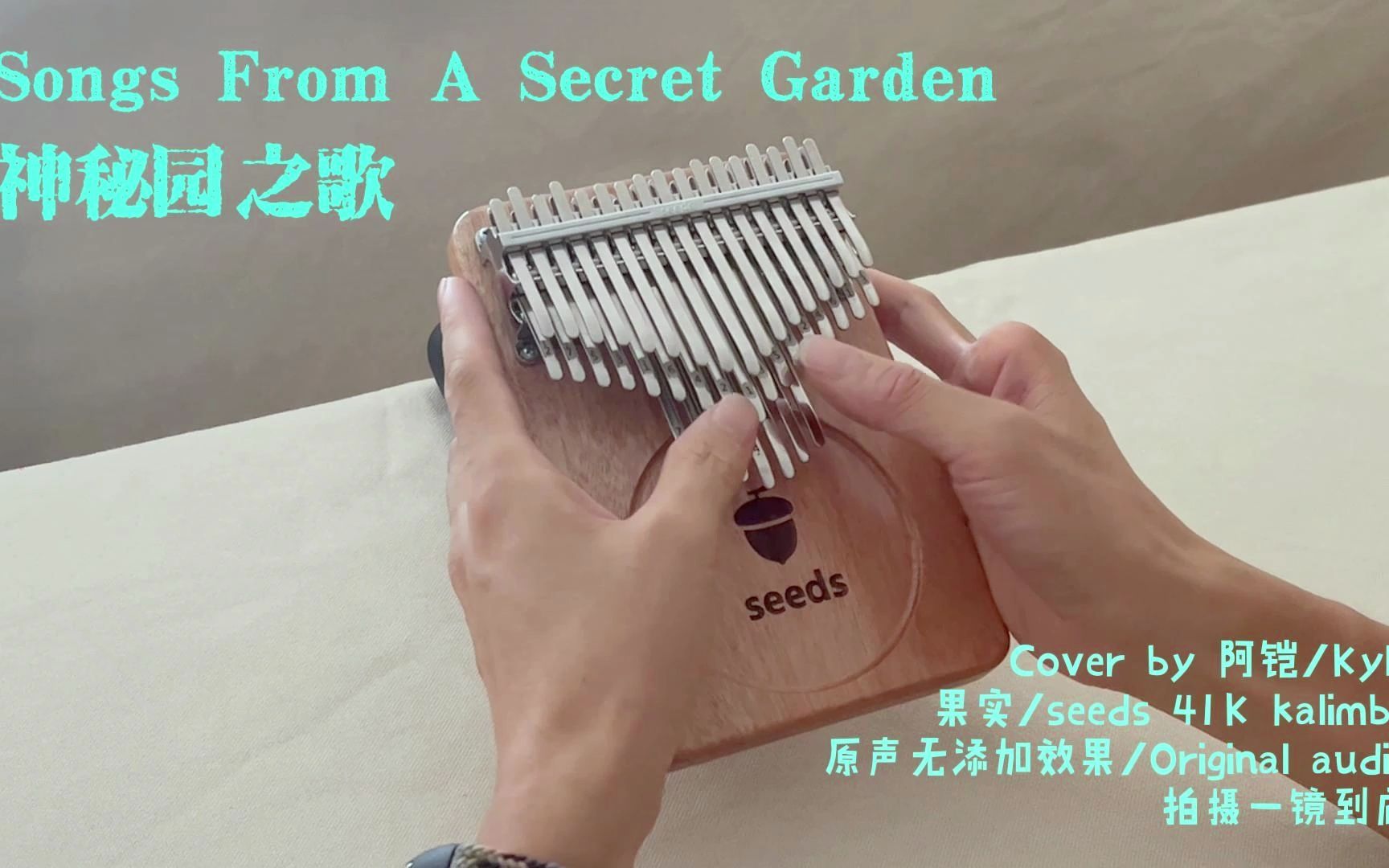 [图]41音拇指琴，神秘园之歌，Songs From A Secret Garden