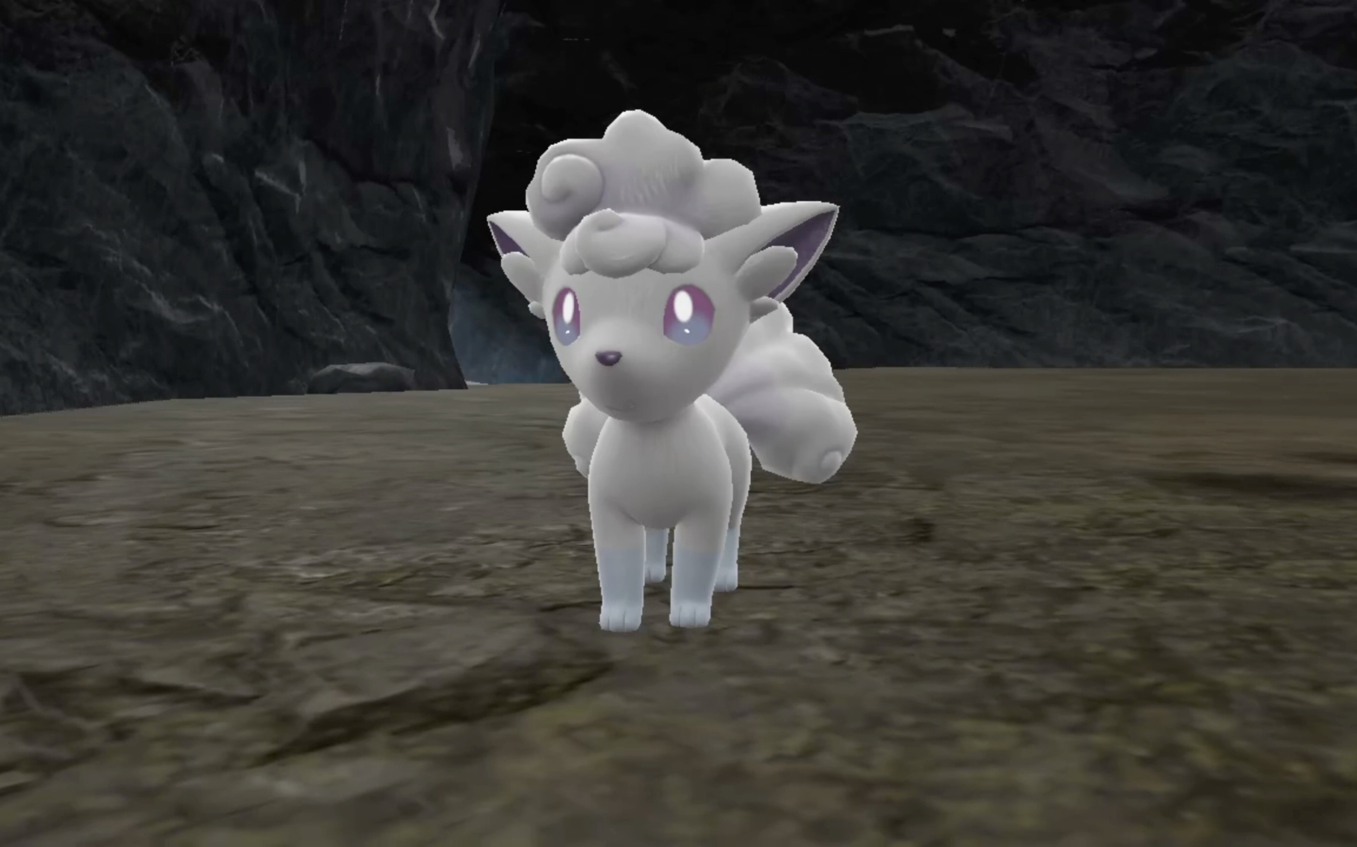 闪光六尾小公主 零攻带证