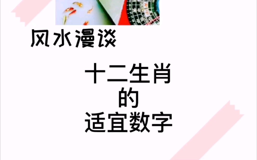 十二生肖的适宜数字哔哩哔哩bilibili