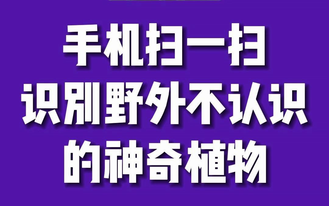 植物百科扫一扫识别图片