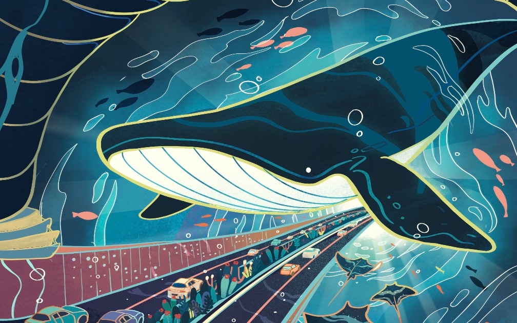 【procreate】海洋主题插画 缩时过程