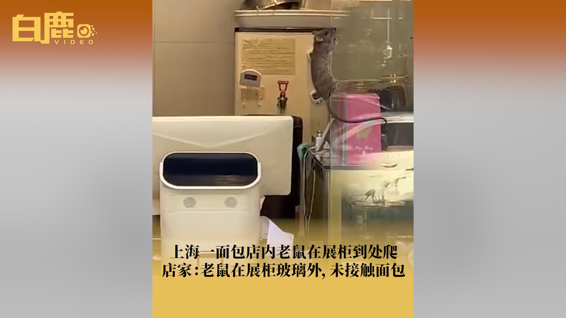 上海一面包店内老鼠在展柜到处爬哔哩哔哩bilibili