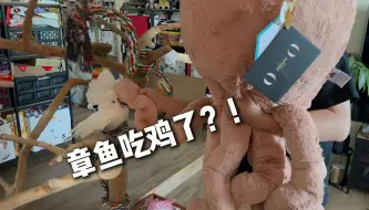 Télécharger la video: 起猛了！章鱼吃鸡了？！