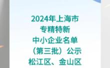 2024年上海市专精特新中小企业名单(第三批)公示松江区、金山区哔哩哔哩bilibili