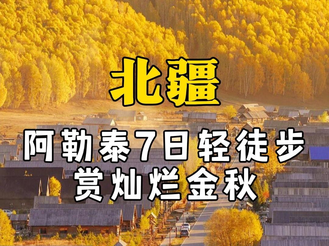 这才是阿勒泰秋天旅行,最正确的打开方式!哔哩哔哩bilibili