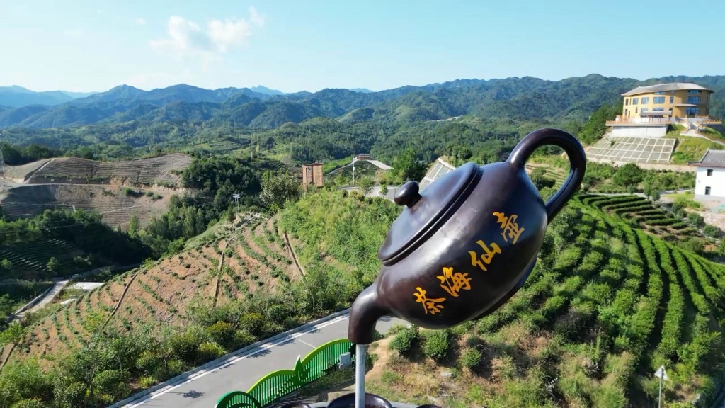 走吧,去看看夏日的茶海公园是什么样子的.