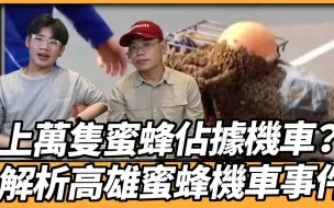 Download Video: 上万隻蜜蜂佔据机车？解析高雄蜜蜂机车事件！