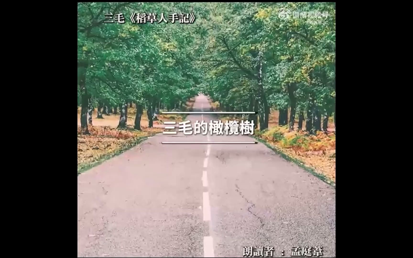 【孟与诗系列】孟庭苇为你读诗《稻草人手记》哔哩哔哩bilibili