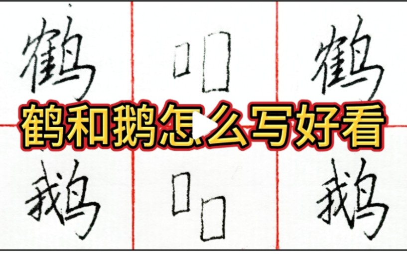 鹅和鹤这两个字怎么样写的好看呢,你们都是怎么处理的呢?哔哩哔哩bilibili