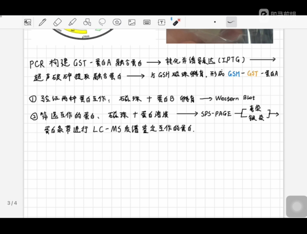 GST pulldown 技术原理讲解哔哩哔哩bilibili