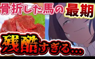 残酷的命运 哔哩哔哩 Bilibili