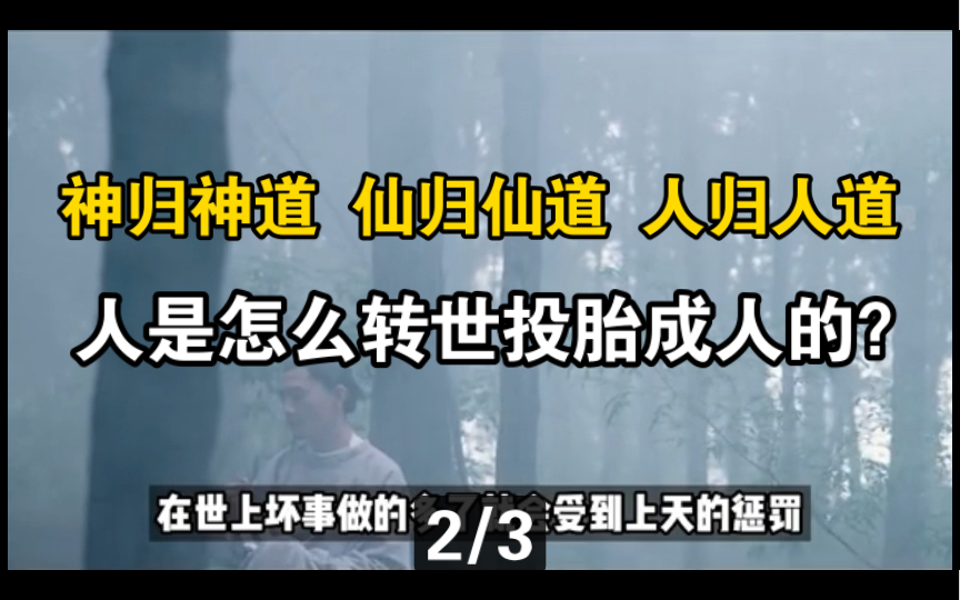 人是怎么投胎转世为人的?如果知道以下的轮回历程 你是否还希望来世再次成为人呢?(第2/3集)哔哩哔哩bilibili