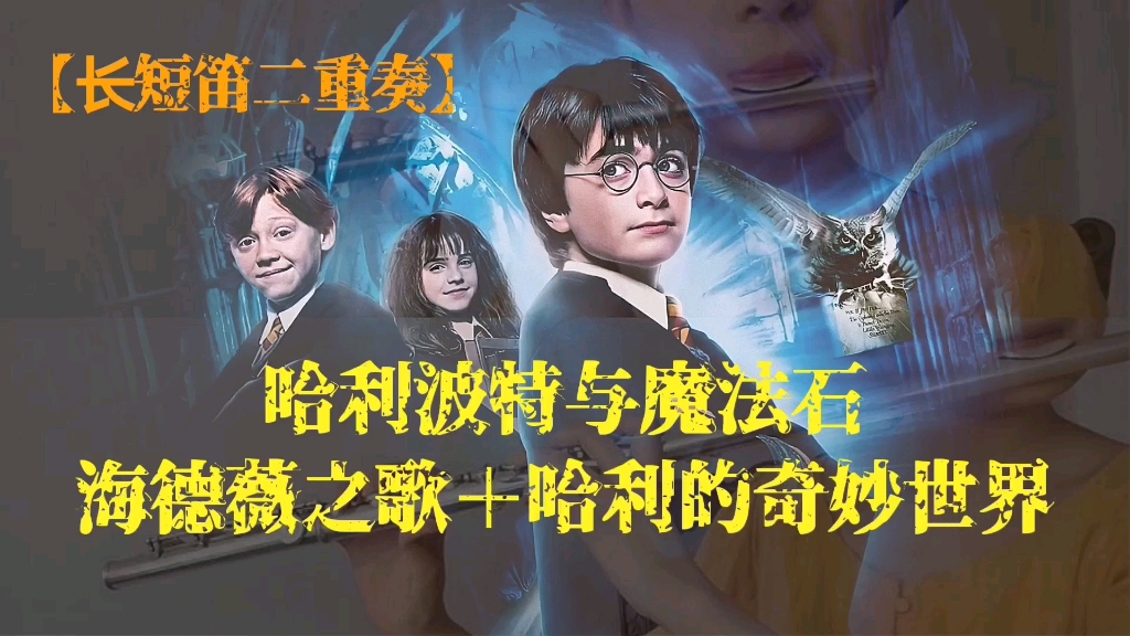 长笛短笛二重奏哈利波特与魔法石海德薇之歌哈利的奇妙世界hedwigs