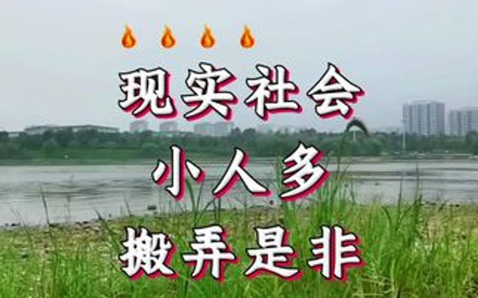 现实社会小人多