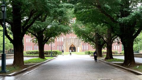 东京留学记录 8 东京的雨季 御留山公园的亭子和紫阳花 哔哩哔哩 Bilibili