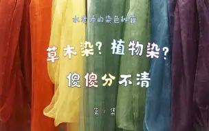 Télécharger la video: 【水老师的染色秘籍】001 草木染？植物染？傻傻分不清