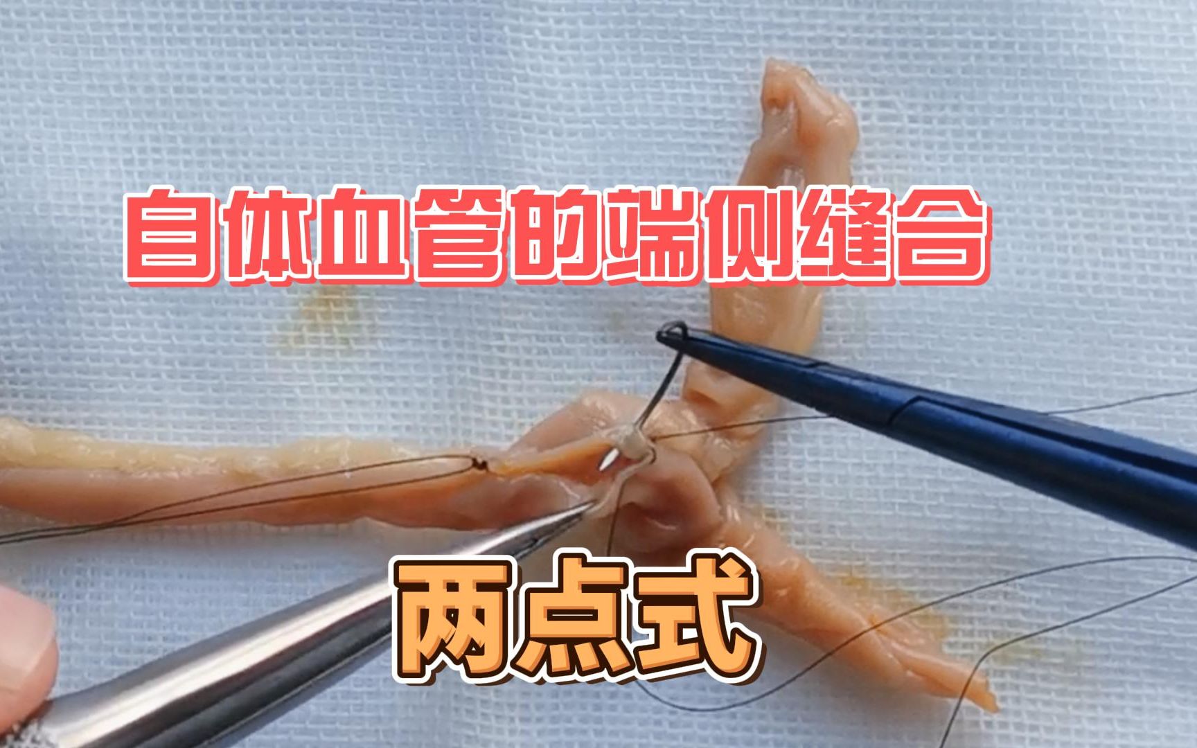 血管缝合训练9:自体血管的端侧缝合(两点式)