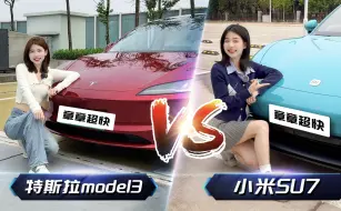 Download Video: 小米SU7VS特斯拉model3