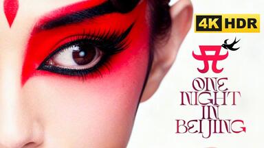 戸川純出道30周年纪念DVD全收录「Teichiku Works」(2009)_哔哩哔哩_