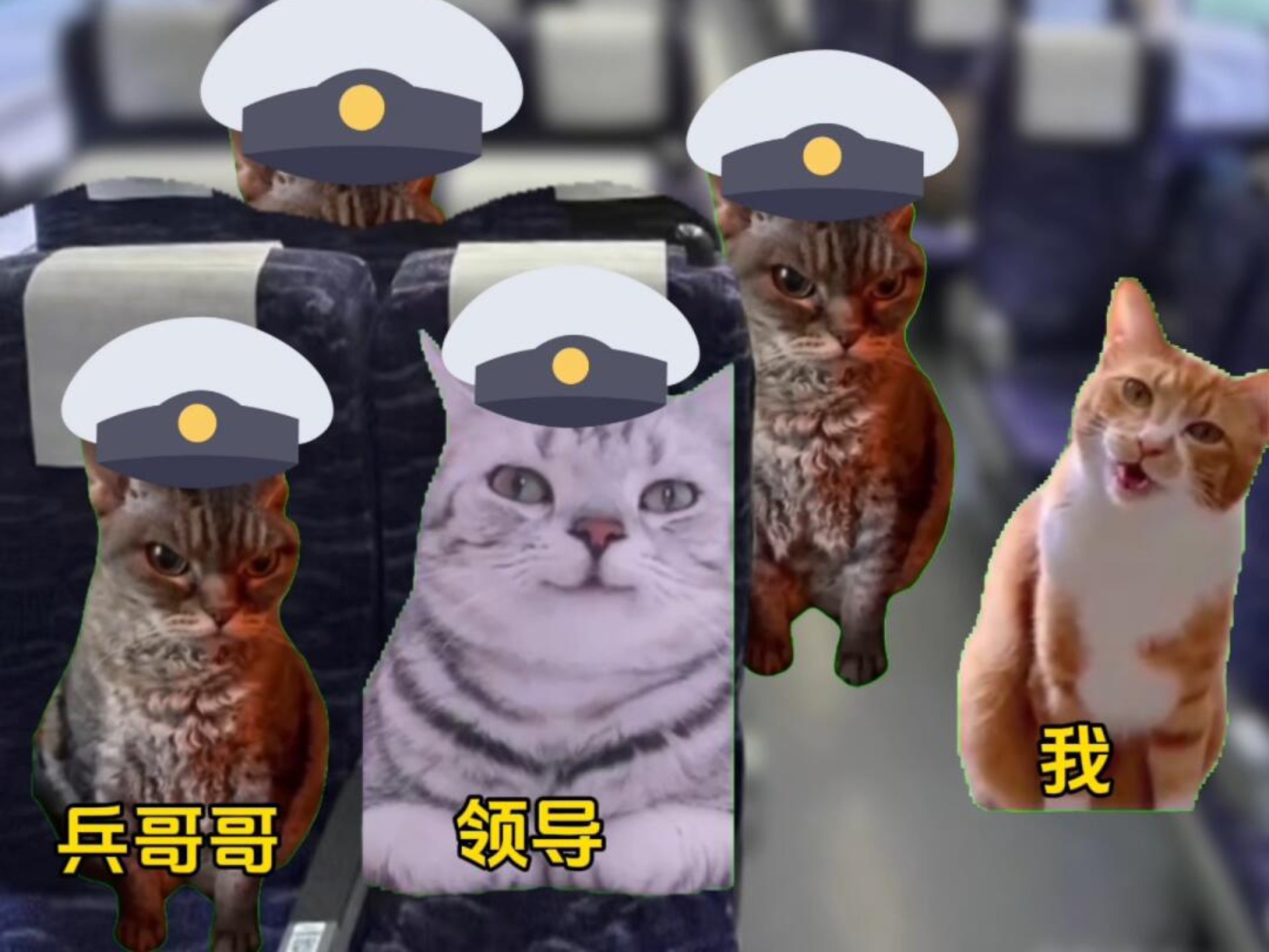 什么?国家分配对象了?