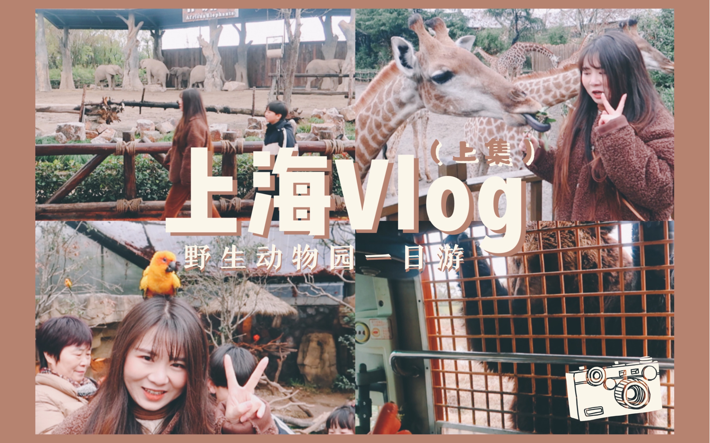 上海Vlog|Part I|和我一起去上海野生动物园玩耍吧|酒店推荐|亲子游|哔哩哔哩bilibili