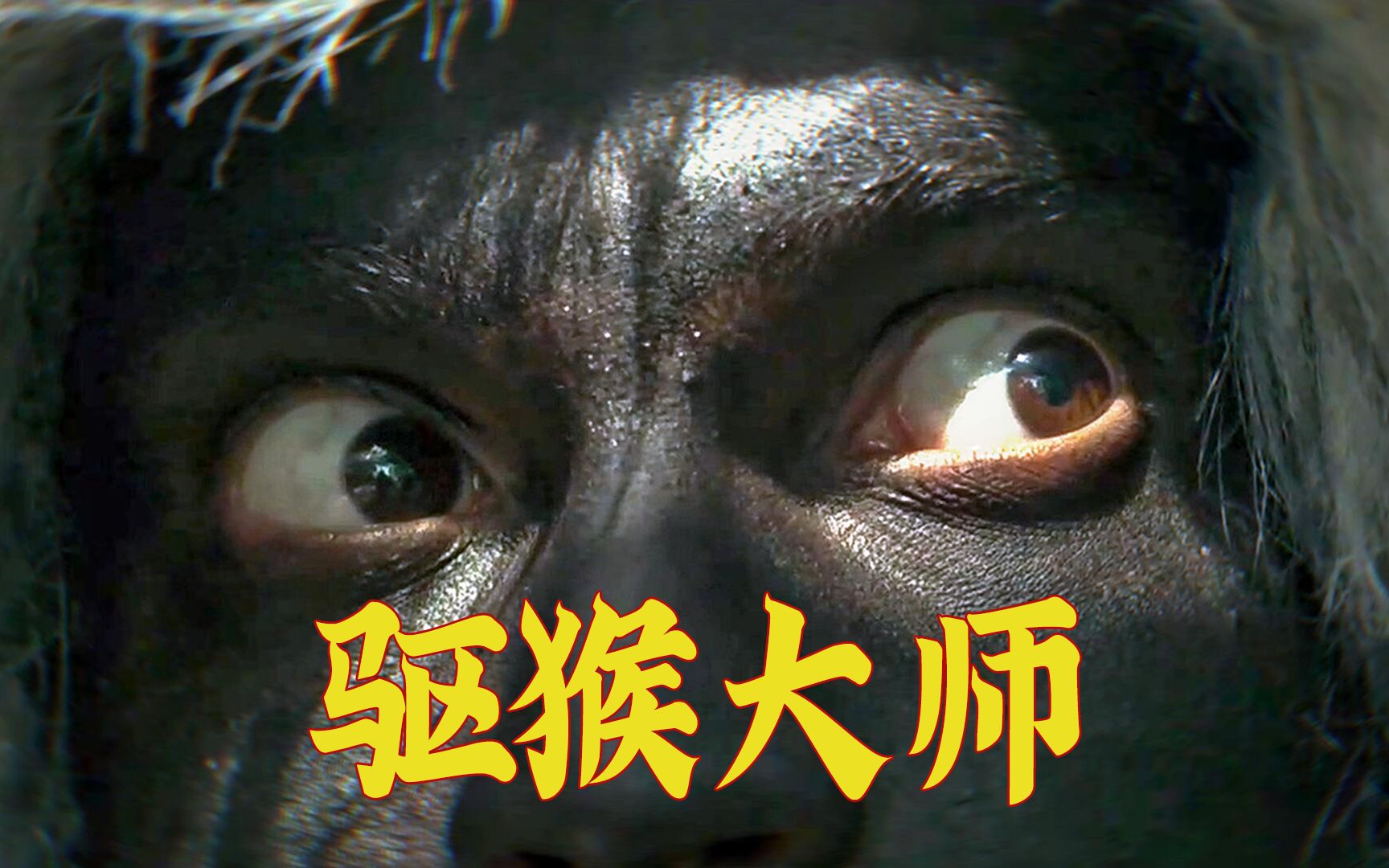 以小见大,以猴见人,讽刺喜剧片《咿嘞呜!》-谁语Whospeak-谁语Whospeak-哔哩哔哩视频