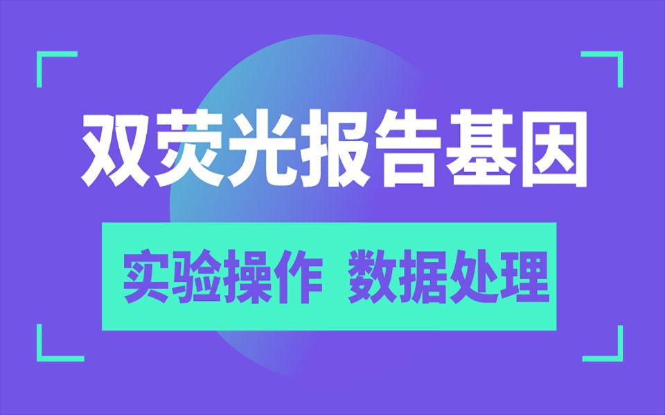 【转录调控】双荧光报告基因实验操作要点,分组设计,数据处理与绘图哔哩哔哩bilibili