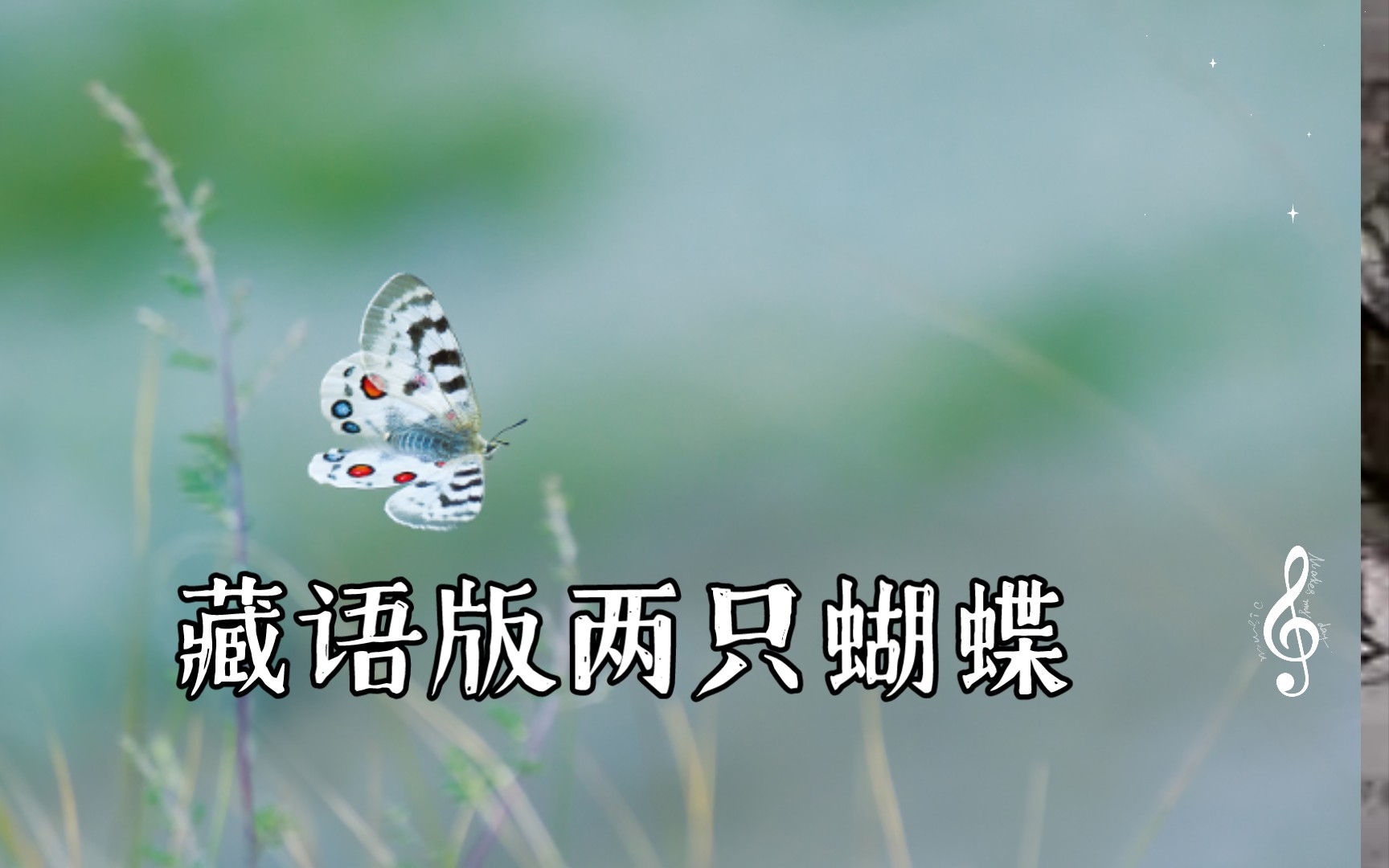 【藏语版】两只蝴蝶哔哩哔哩bilibili