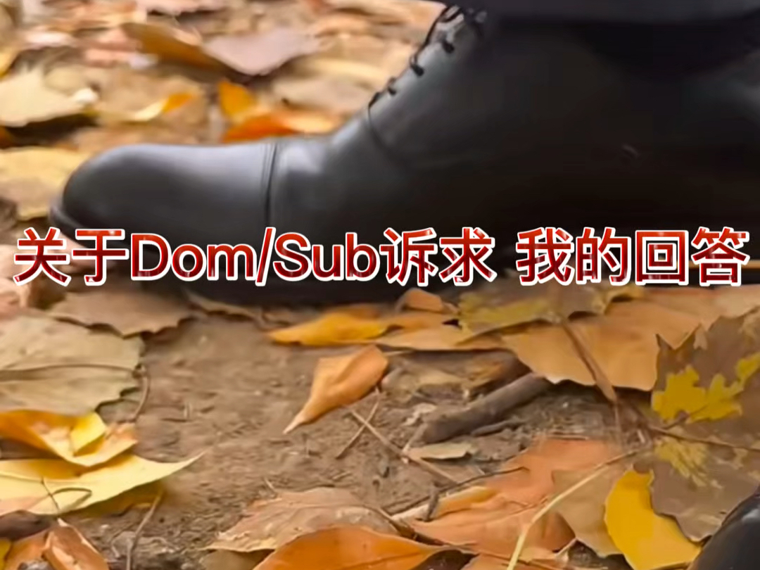 关于Dom/Sub诉求 我的回答哔哩哔哩bilibili