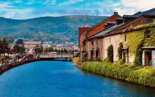 Otaru 搜索结果 哔哩哔哩 Bilibili