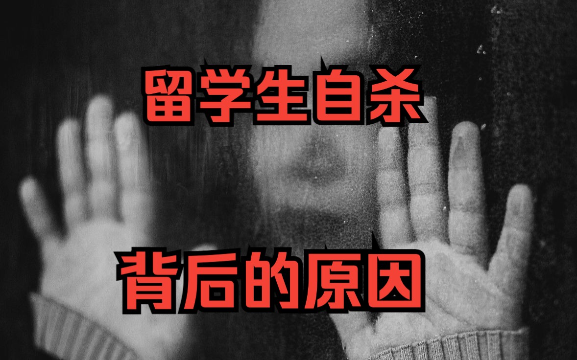 留学生高自杀率,究竟是为什么?哔哩哔哩bilibili