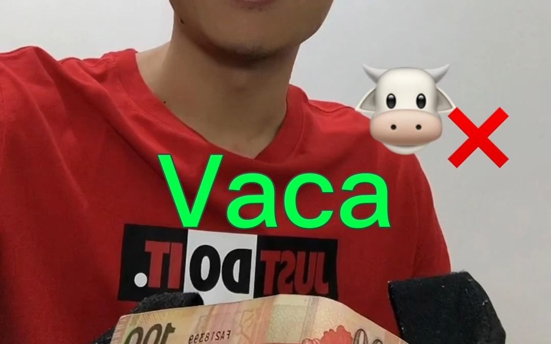 【西语地道表达】Vaca 你肯定不知道的表达方式哔哩哔哩bilibili