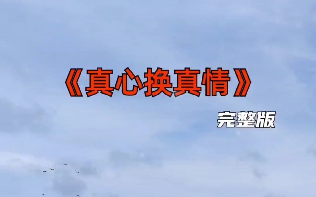 今日音乐分享 真心换真情 完整版