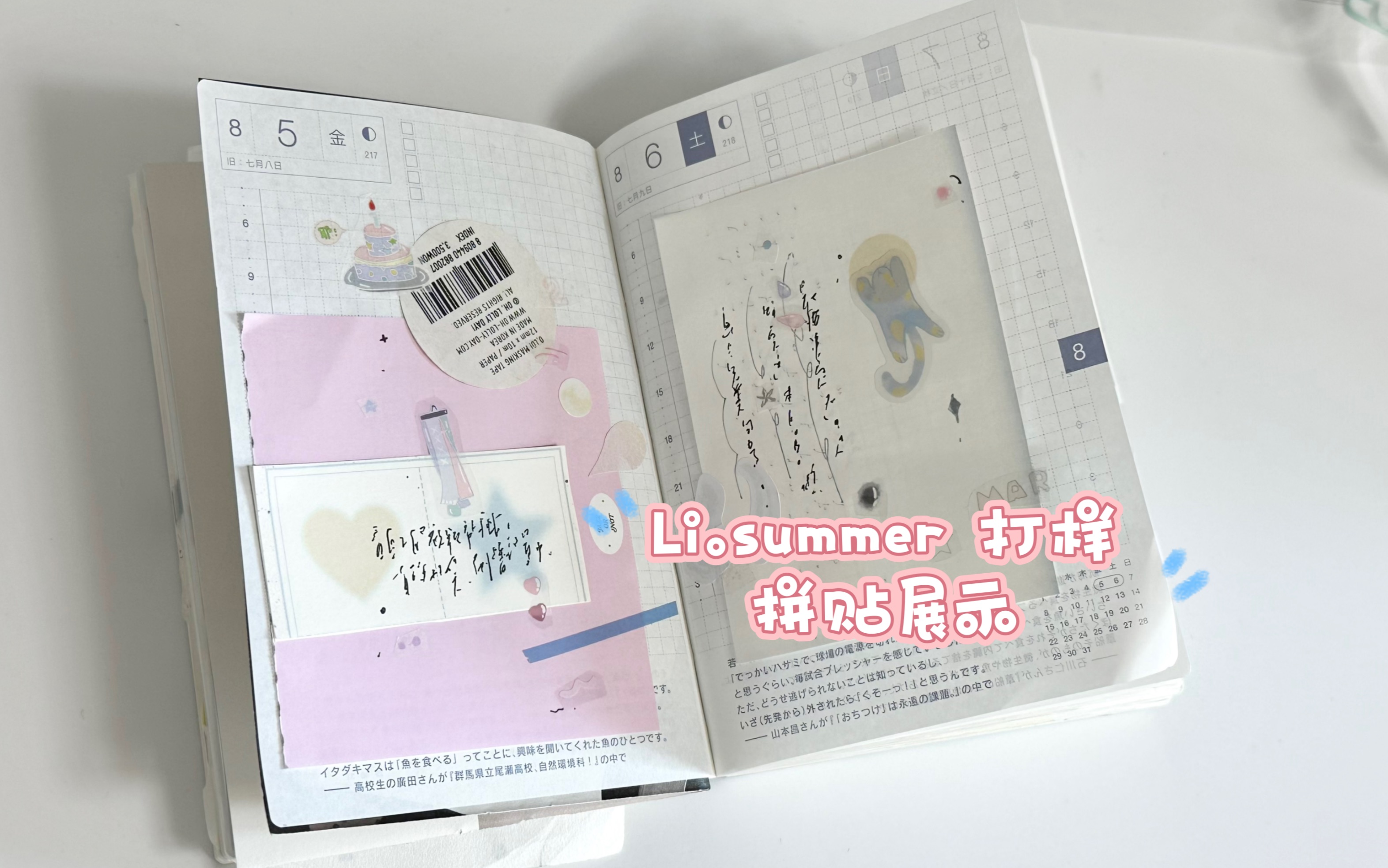 :排骨|Li.Summer打样|立子新品试用|盐系hobo哔哩哔哩bilibili