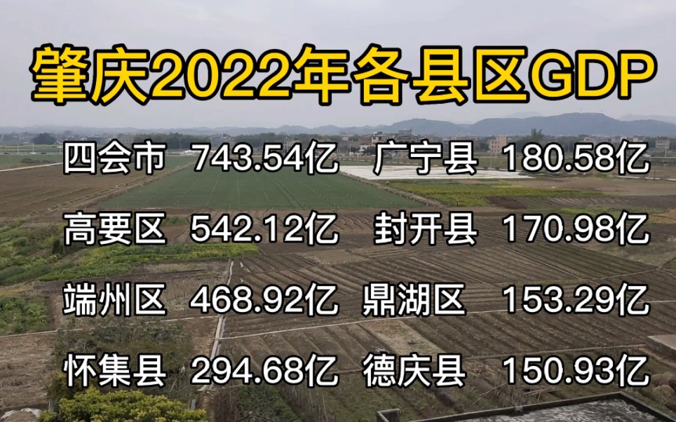 广东肇庆2022年各县区GDP出炉,高要怀集增速比较大,德庆端州拖后腿,未来几年,你更看好肇庆哪个县区?#肇庆GDP #怀集路茫 #路茫在怀集哔哩哔...