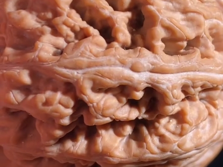 平谷大粗筋46尺寸 麻花刚纹路 八斤灌顶 6面顶级对子 克重65石头一样