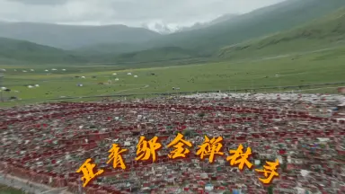 寺西徹-哔哩哔哩_Bilibili