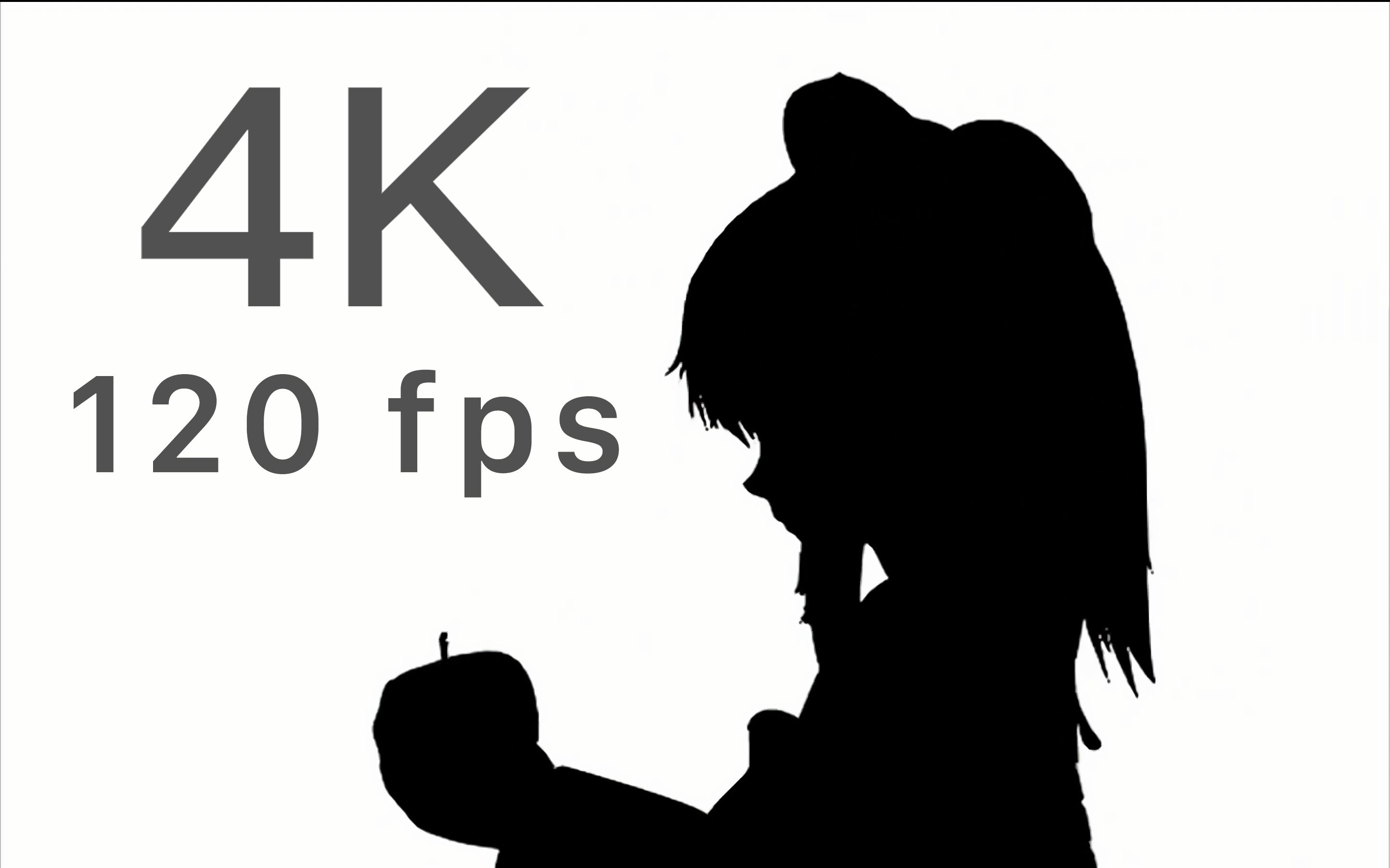 【4k 120fps】bad apple pv ai补帧