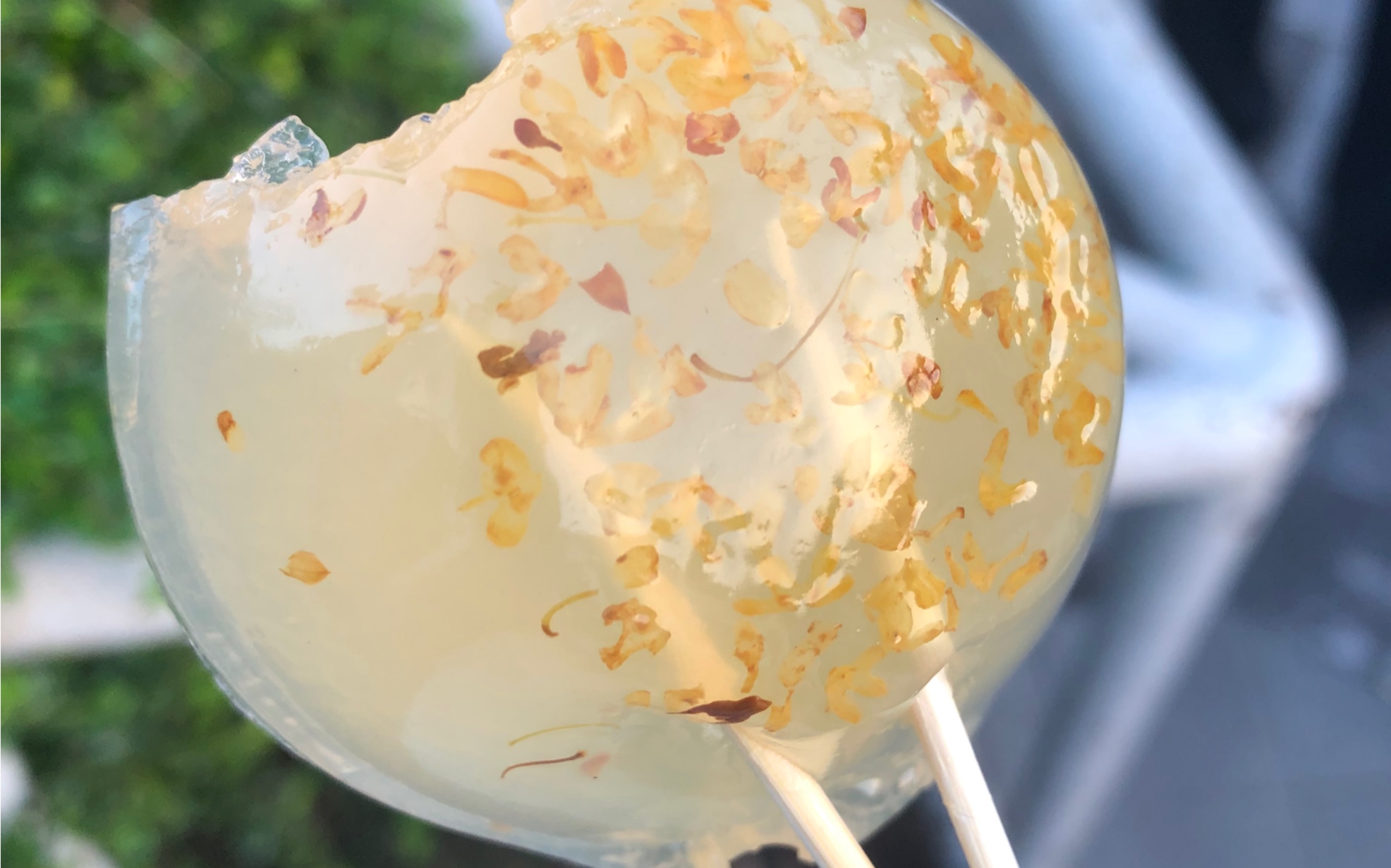 钵仔糕治愈的一天,高温下清新的桂花味太赞了.