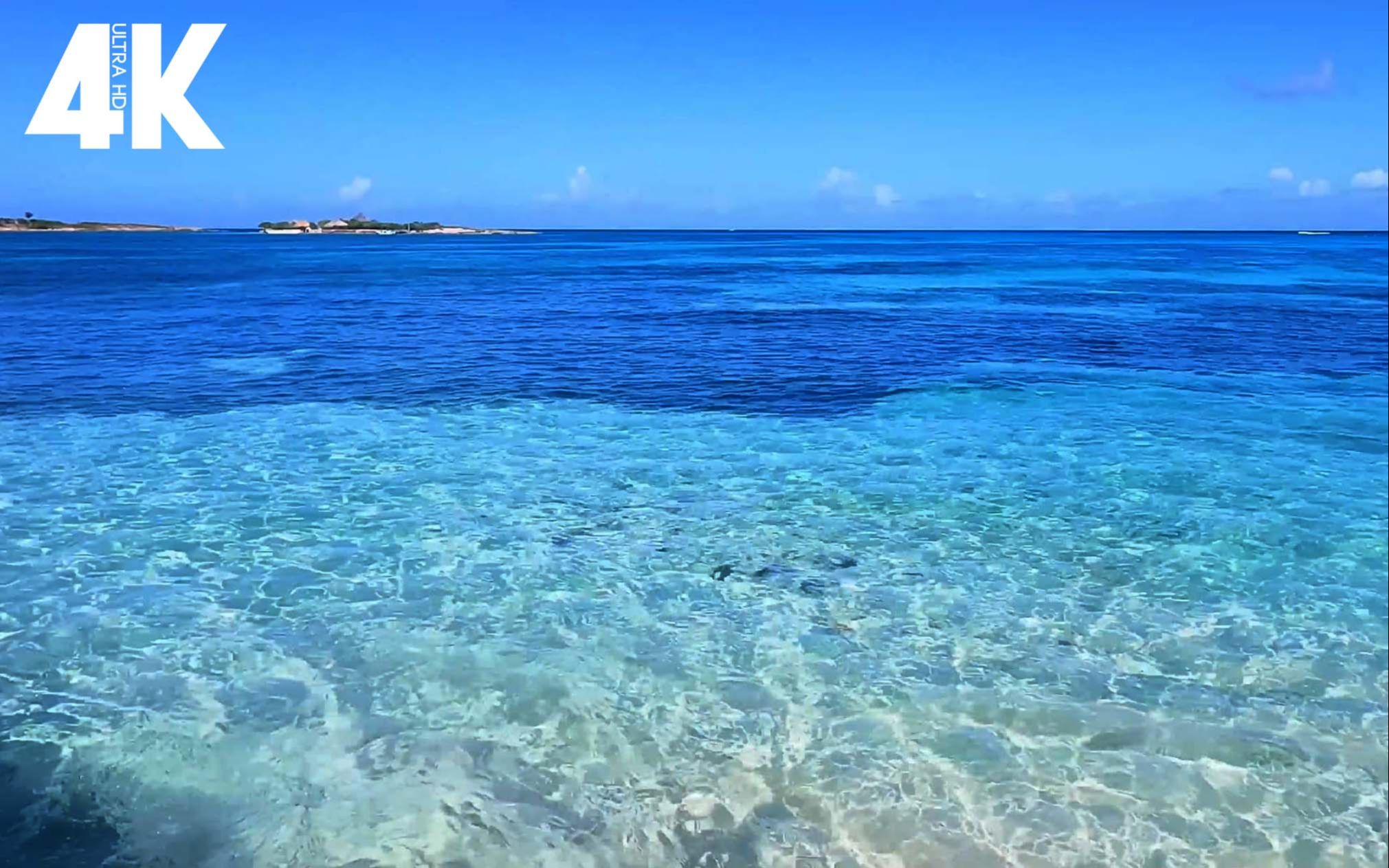 4k 听涛-干净世界