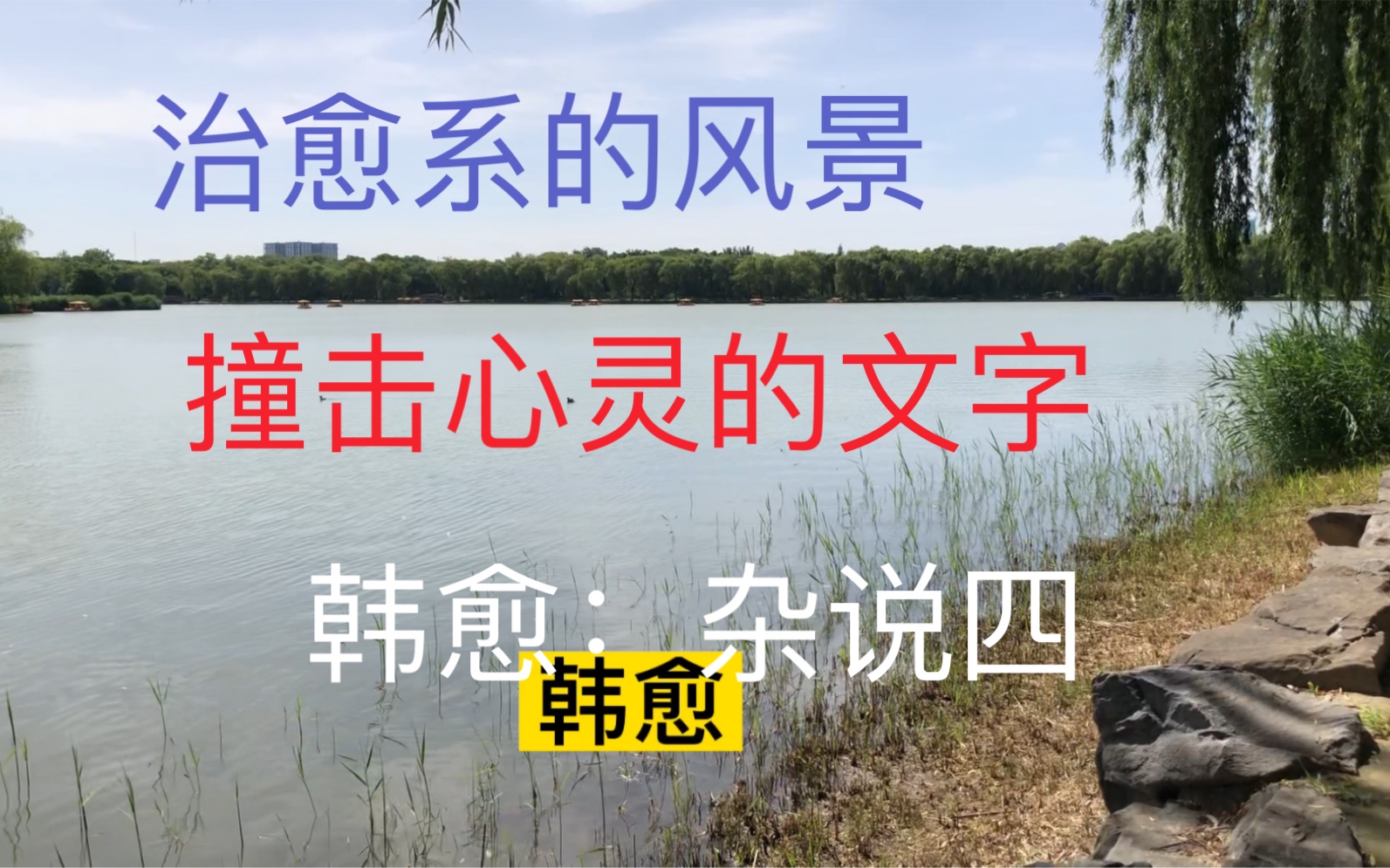 [图]韩愈：杂说四；治愈系的风景；动人的旋律；火热的开始