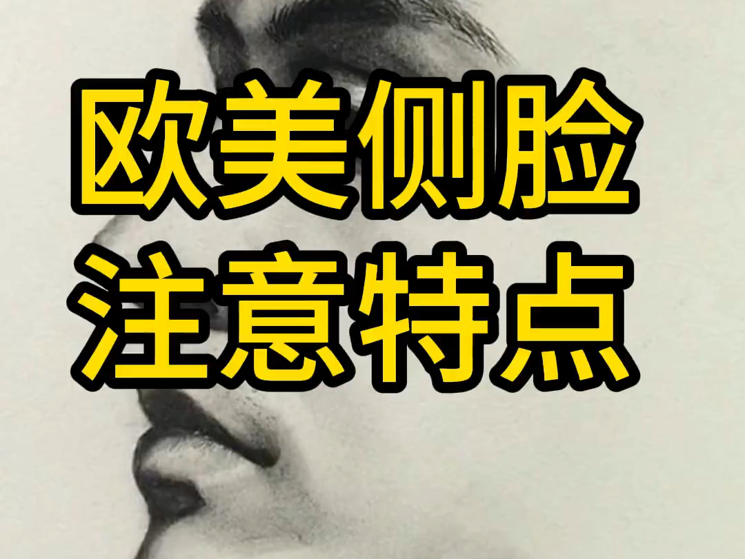 画欧洲人素描头像时应该注意哪些特点?哔哩哔哩bilibili